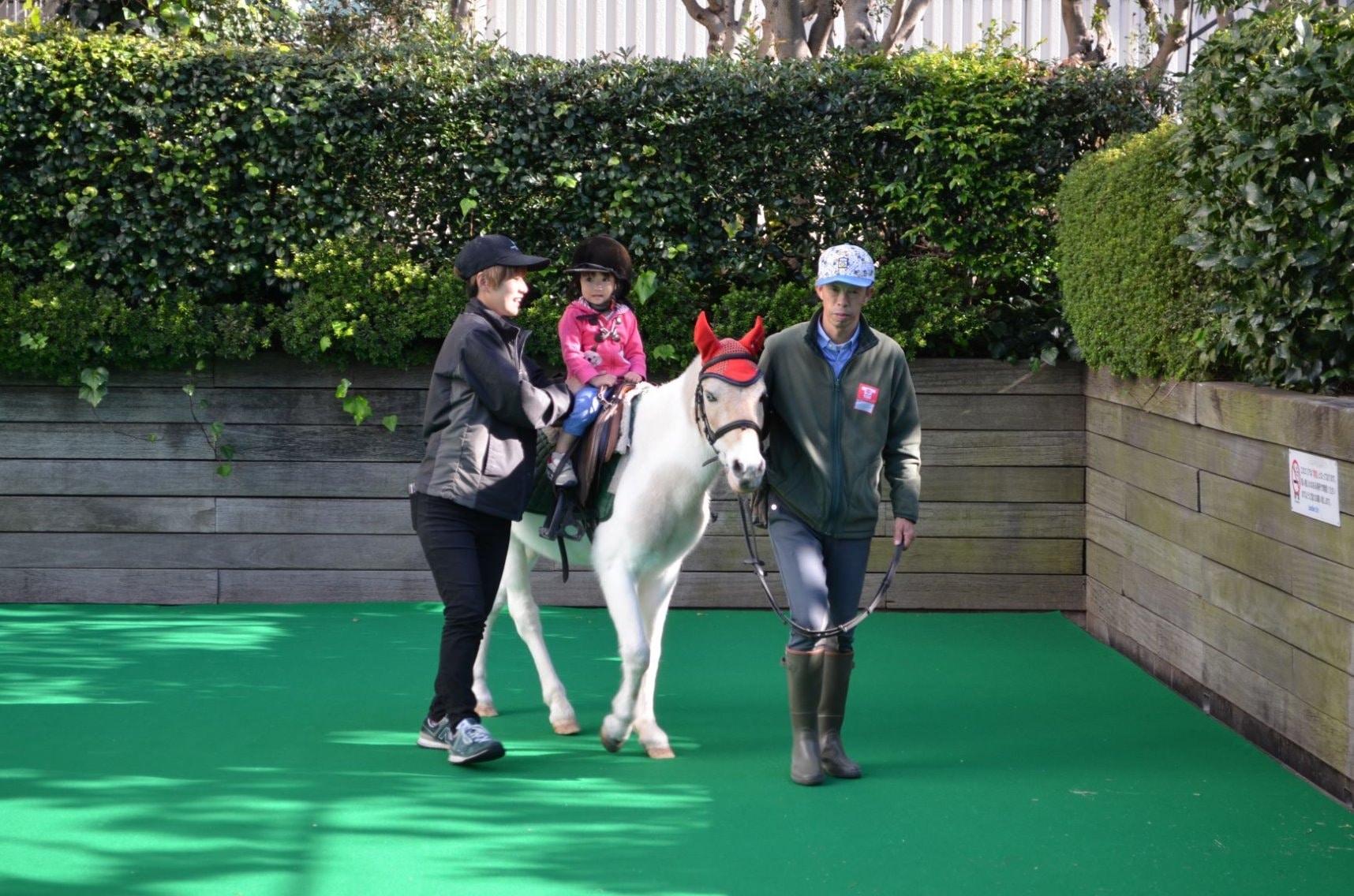 ポニーの体験乗馬