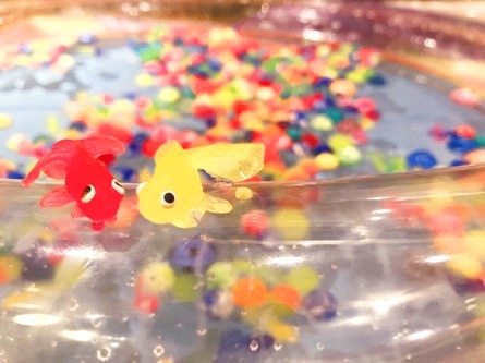 金魚