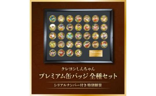 プレミアム缶バッジ全種セット特別額装