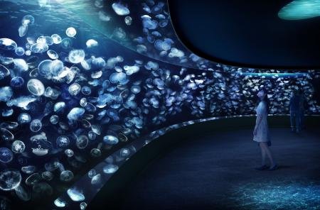 サンシャイン水族館 2020年4月 新クラゲエリア 海月空感 くらげくうか