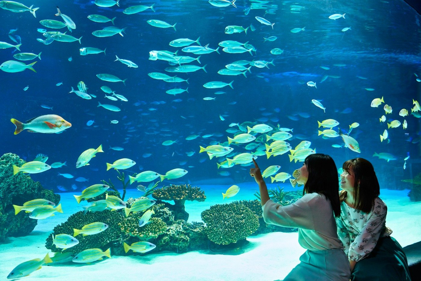 サンシャイン水族館