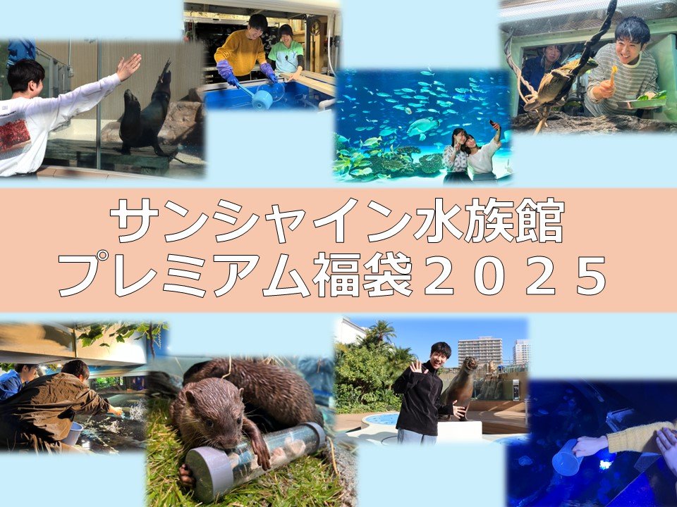 サンシャイン水族館 プレミアム福袋2025