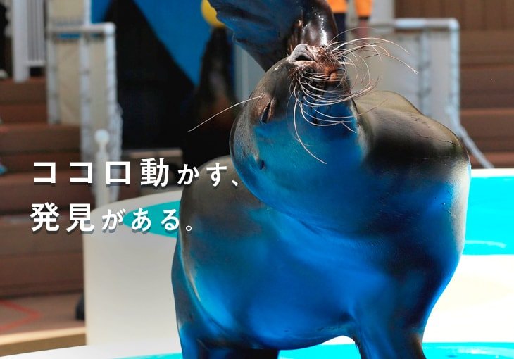 ココロ動かす、発見がある。