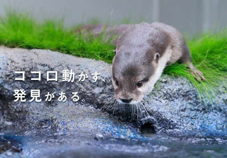ココロ動かす、発見がある。