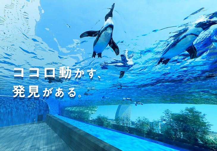 ココロ動かす、発見がある。