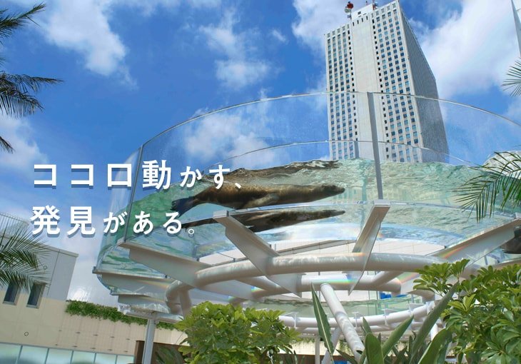 ココロ動かす、発見がある。