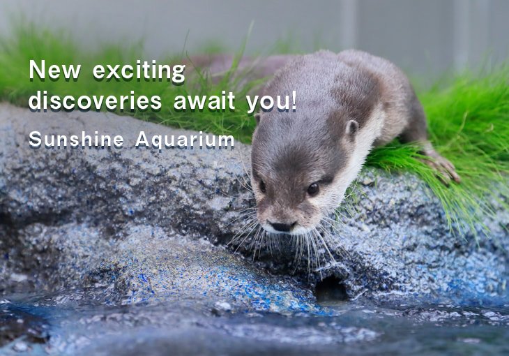 New exciting discoveries await you!Sunshine Aquarium