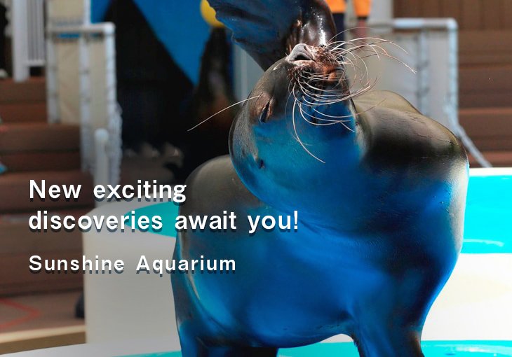 New exciting discoveries await you!Sunshine Aquarium