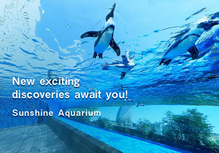 New exciting discoveries await you!Sunshine Aquarium