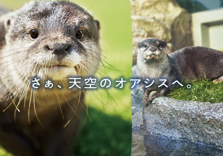 さぁ、天空のオアシスへ。