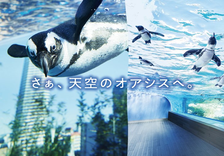 さぁ、天空のオアシスへ。