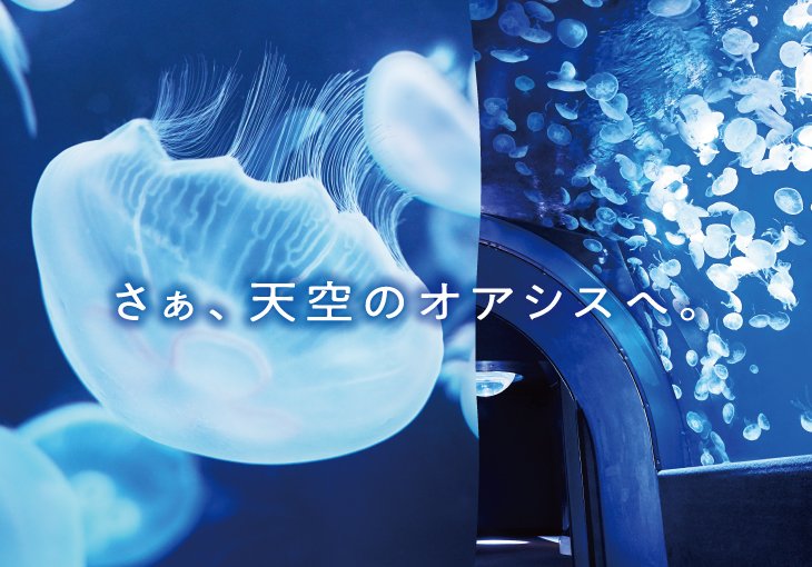 さぁ、天空のオアシスへ。