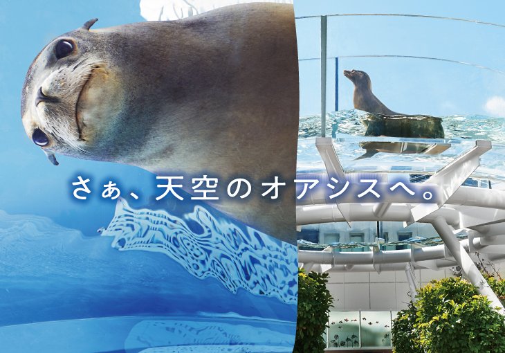 さぁ、天空のオアシスへ。