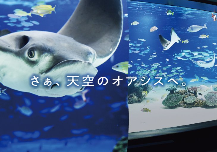 さぁ、天空のオアシスへ。
