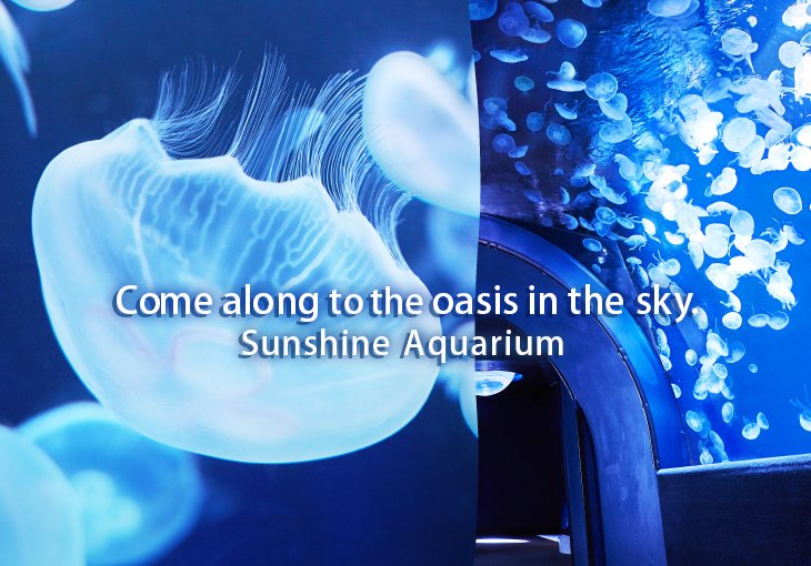 New exciting discoveries await you!Sunshine Aquarium