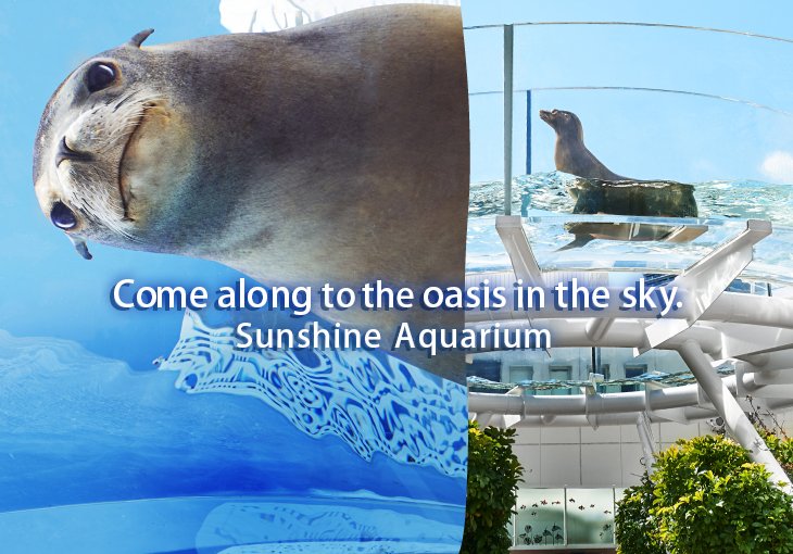 New exciting discoveries await you! Sunshine Aquarium