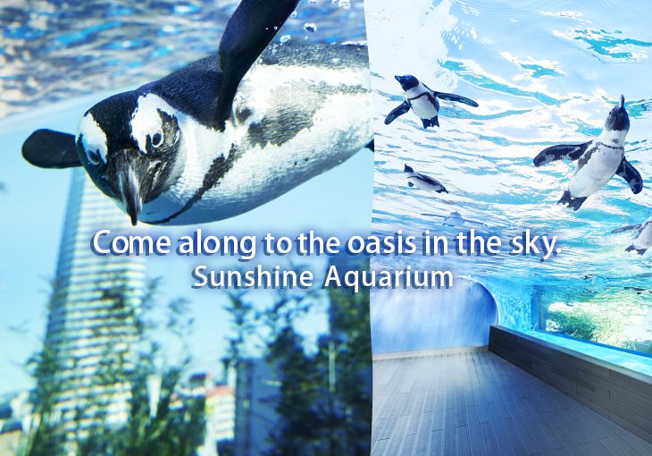 New exciting discoveries await you!Sunshine Aquarium