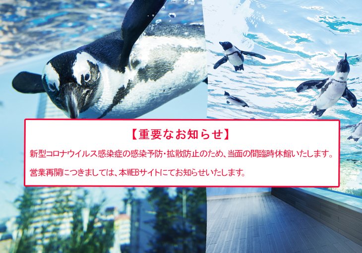 さぁ、天空のオアシスへ。