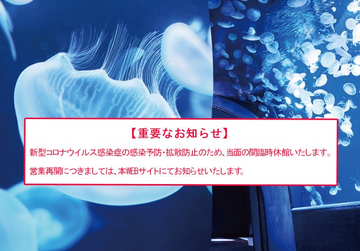 さぁ、天空のオアシスへ。