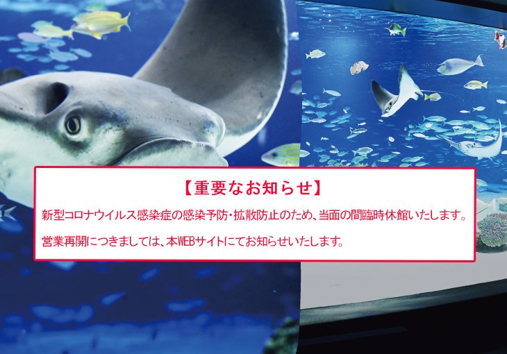 さぁ、天空のオアシスへ。