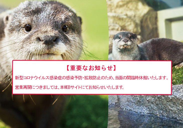 さぁ、天空のオアシスへ。