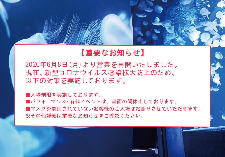 さぁ、天空のオアシスへ。