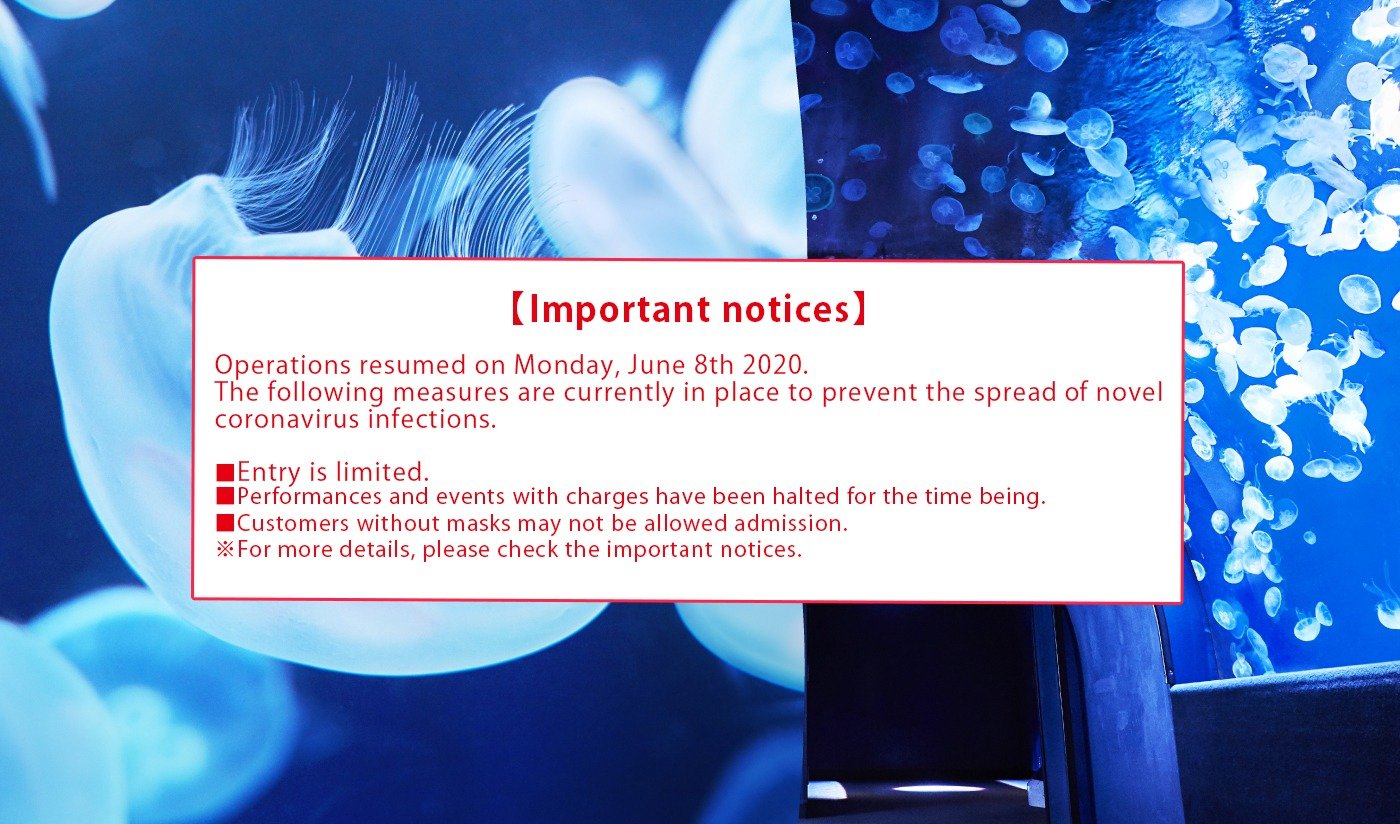 New exciting discoveries await you!Sunshine Aquarium