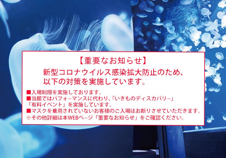 さぁ、天空のオアシスへ。