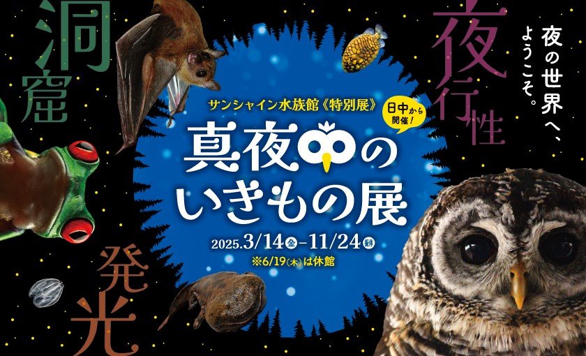 サンシャイン水族館特別展　真夜中のいきもの展