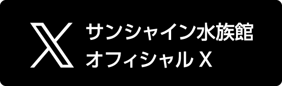 サンシャイン水族館オフィシャルX