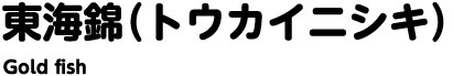 東海錦（トウカイニシキ）