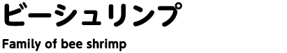 ビーシュリンプ