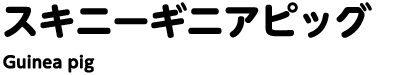 スキニーギニアピッグ