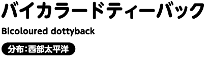 バイカラードティーバック