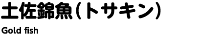 土佐錦魚（トサキン）