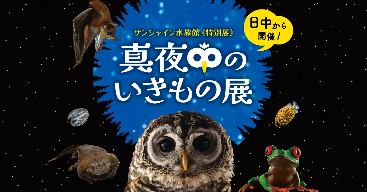 真夜中のいきもの展