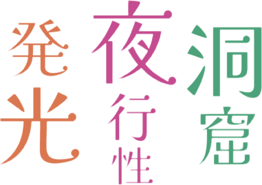 夜行性・発光・洞窟