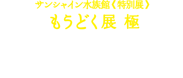 サンシャイン水族館《特別展》もうどく展 極「毒タイプ診断」