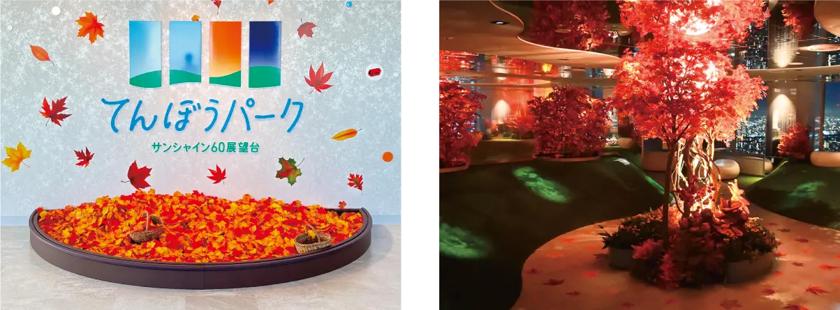 てんぼうパーク 秋さんぽ