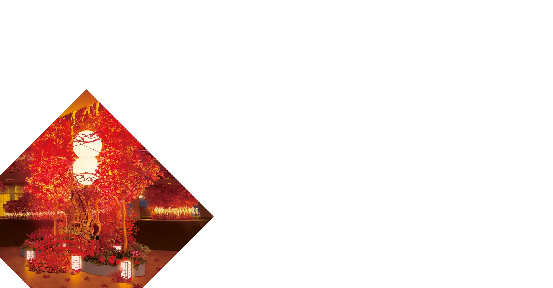 左下写真