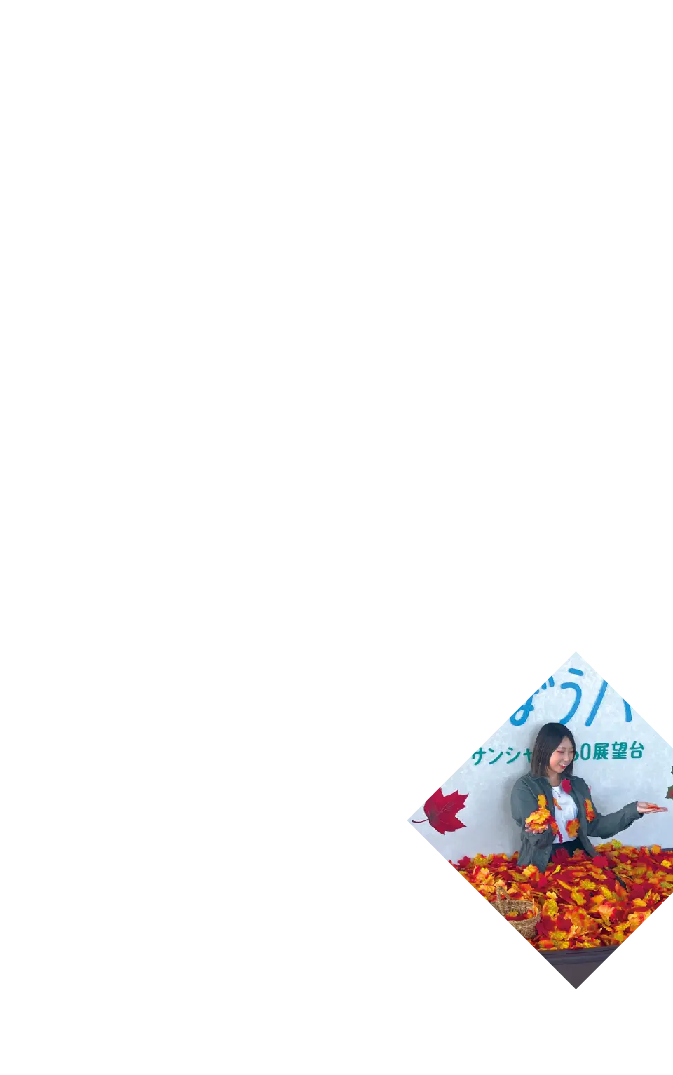 右下写真