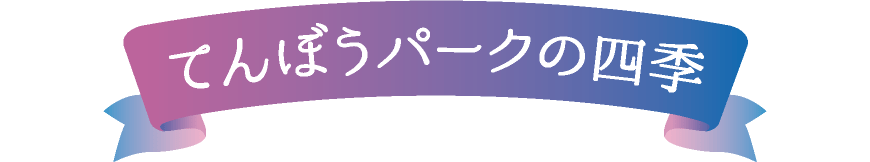 てんぼうパークの四季