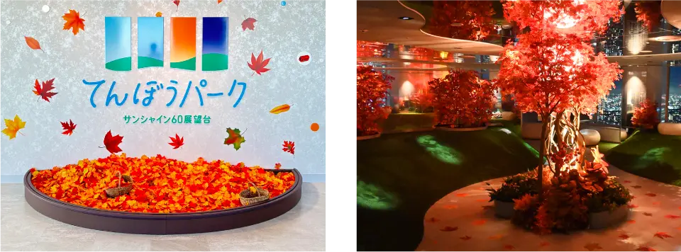 2024 Autumn