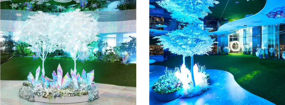 2024 Winter