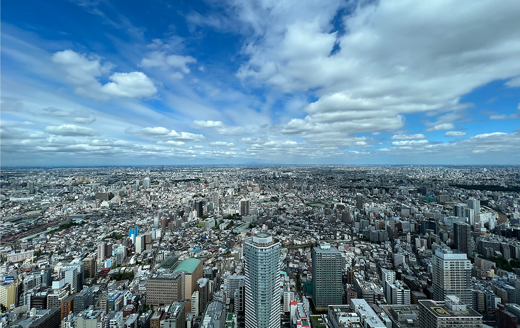 展望台から見える日中の景色