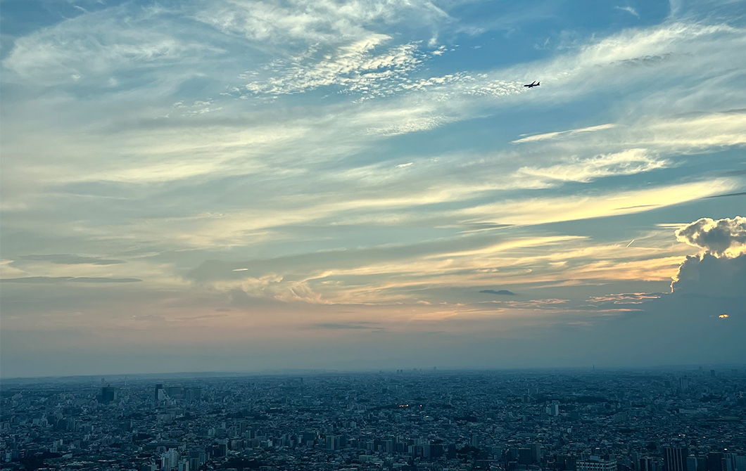 展望台から見える夕焼け空に飛行機がある景色