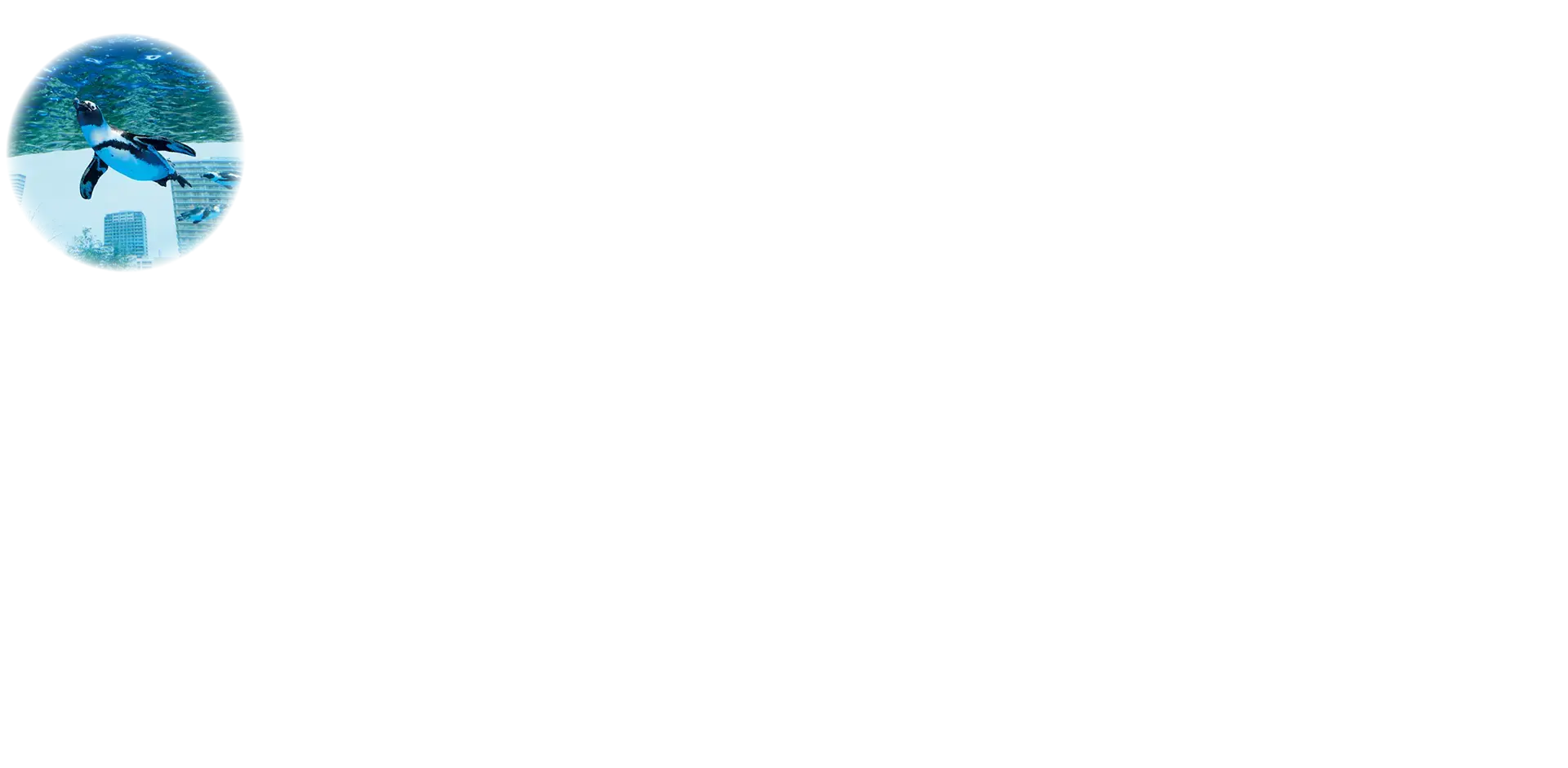 丸画像