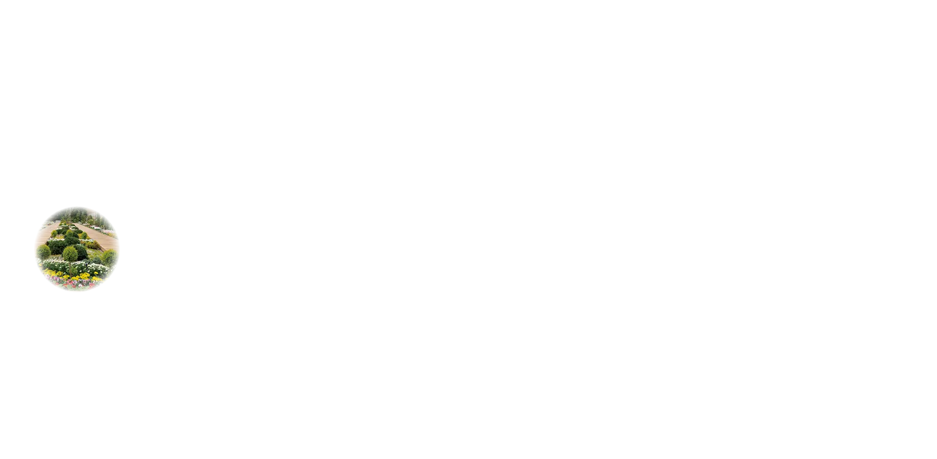 丸画像