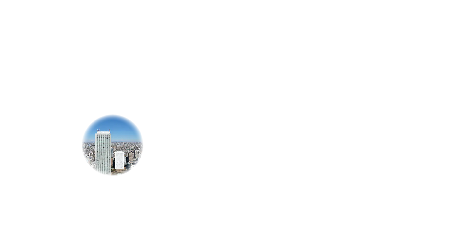 丸画像