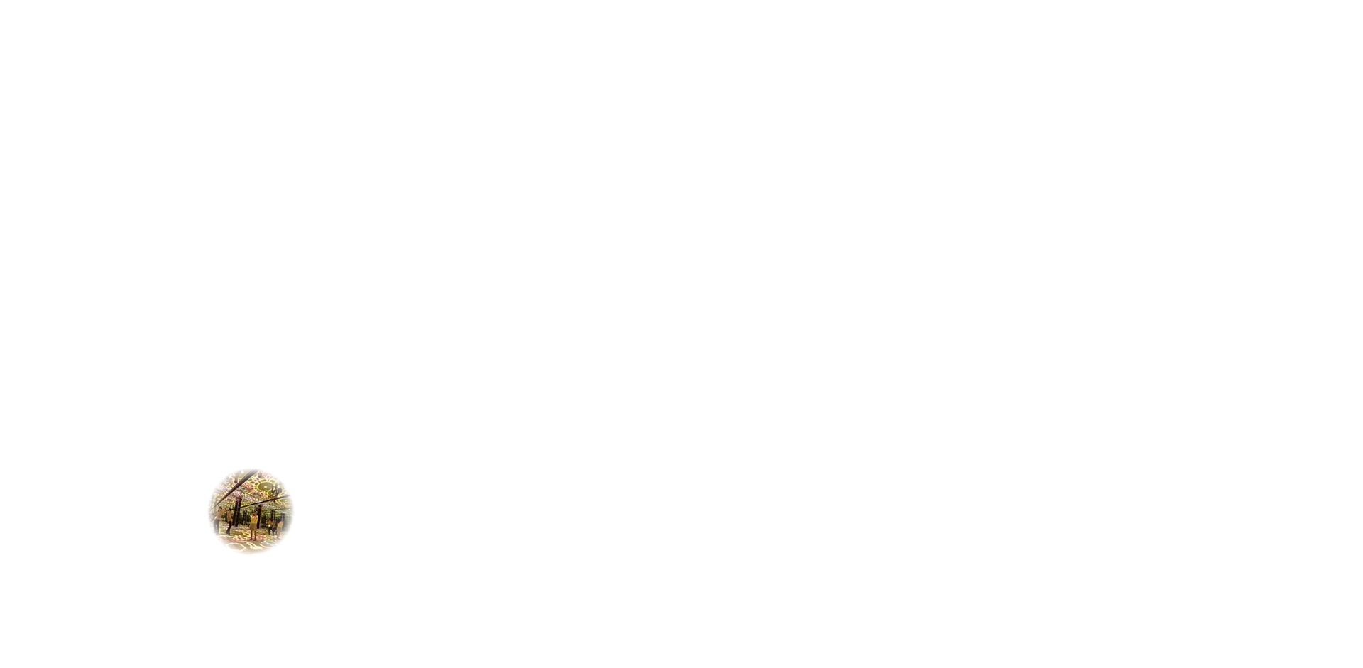 丸画像